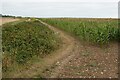 Footpath from Cavenham Road in PE33 9FL