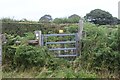 Kissing gate to track from field in SA34 0NS