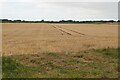 Stubble field by Boughton Road in PE33 9ER