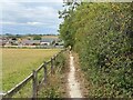 Public footpath in Parkhouse Green in S45 8DG