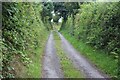 Track to highway from Blaenhafod in SA34 0NS