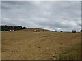 Stubble field towards Bullhurst Hill in Weston Underwood