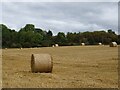 Bales in stubble field off Bullhurst Lane in Weston Underwood