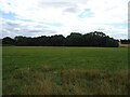 Grazing and woodland, Brailsford Common in DE6 3BY