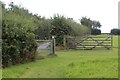 Gates to access track from field in SA34 0NS