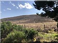 Hill of Towanreef in AB54 4LQ
