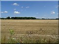 Stubble field off Hempstead Road in ME7 3TJ