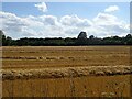Stubble field off Greenway Court Road in ME17 1UG