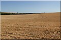 Stubble field near New Farm in CB11 4UL