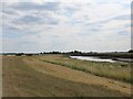 River Great Ouse in PE33 0JL