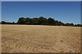 Footpath through stubble field in CB11 4UX