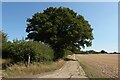 Footpath towards Saffron Walden in CB11 4XB