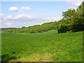 Pasture above Upton in SP11 0JG