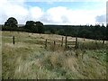 Wooden stile on the field boundary in Llansantffraid Glyn Ceiriog Community