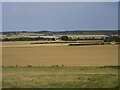 Ripened fields from East Saltoun in EH34 5DY