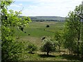 Woodland and fields, Hucklow Edge in Grindlow