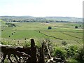 Fields east of Great Hucklow in Grindlow