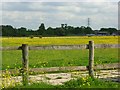 Meadows with buttercups, Hurst in RG10 0RR