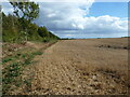 Stubble field alongside Apy Hill Lane in DN11 9PQ