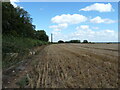 Stubble field and electricity line off Sandbeck Lane in DN11 9RJ