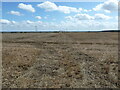 Stubble field off Sandbeck Lane in DN11 9RJ