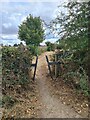 Path into Pleasley Pit Country Park in NG19 8BY