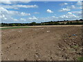Field near Clay Croft Bridge in S66 7QN