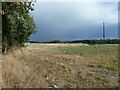 Stubble field off Abbey Lane in S25 1YQ