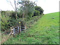 Cyffordd o lwybrau / A junction of paths in SA67 8UU