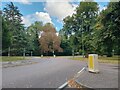 Roundabout on Goldring Way, Napsbury Park in AL2 1DW