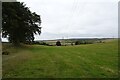 Field near the Alnmouth to Cornhill railway trackbed in Alnwick