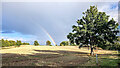 Barley stubble, oak tree and rainbow in HR9 7QU