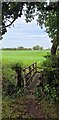 Path and Footbridge behind St Mary the Virgin - Goosnargh in PR3 2BA
