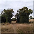 Bridleway through fields near Withybrook Lane in CV7 9HY