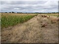 Farmland near Little Comberton in WR10 3EN