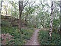 Path from quarry face, Dean Wood in HD4 7BX