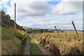 Track near Ardglassie Croft in AB43 8UL
