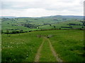 Trail descending to the Lugg Valley in LD7 1NN