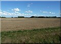 Stubble field off Langary Gate Road in PE12 8SD