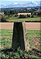 Triangulation pillar on farmland above Inchinnan, Renfrewshire in PA8 7EA