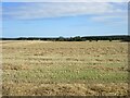 Harvested field in Peterhead North and Rattray Ward