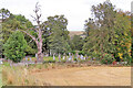 Old Kirkyard in AB54 4QP