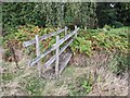 Footbridge at Wacton Green in HR7 4TF