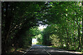 A262 looking east towards Goudhurst. in TN12 8EL
