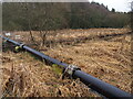 Pipeline Crossing Afon Erddreiniog in LL77 7RZ