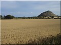 Stubble field at Highfield in EH39 5JH