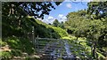 A gateway on Glyndŵr's Way in SY20 8RE