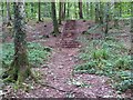 Steps in Minwear Wood in SA67 8AA