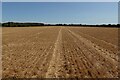 Stubble field south of Duddenhoe End in CB11 4UY