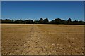 Footpath to Duddenhoe End in CB11 4UY